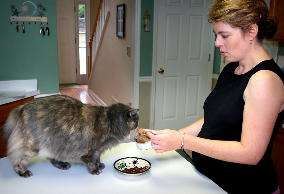 "My picky eater finally has a treat she loves" — Amirah's story