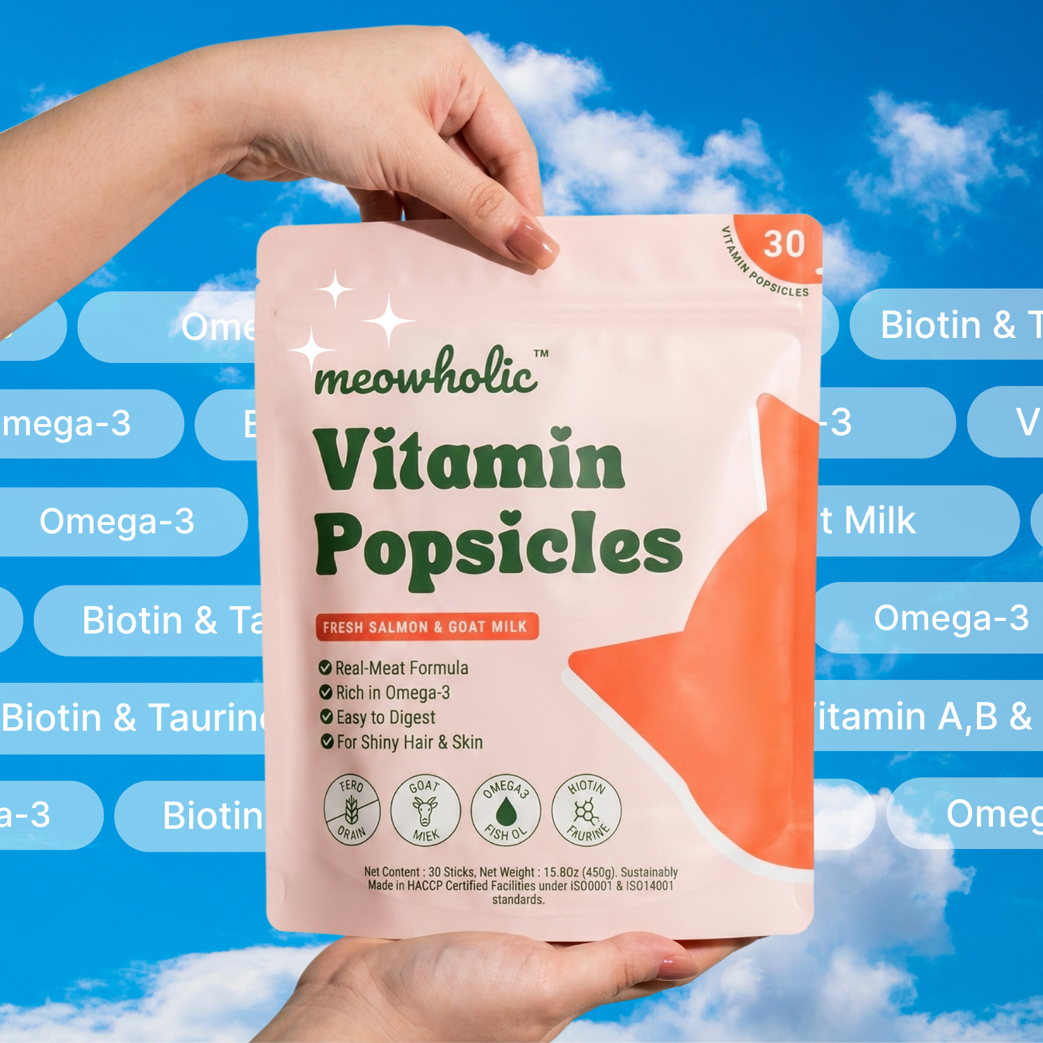 Hand holding a package of meowholic Vitamin Popsicles against a blue background with text about vitamins.