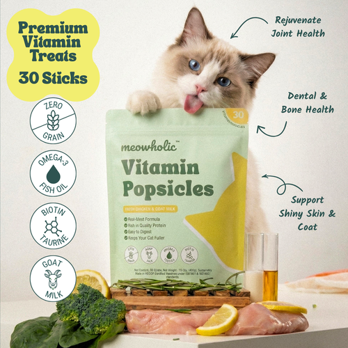 Cat with a bag of meowholic Vitamin Popsicles on a white background
