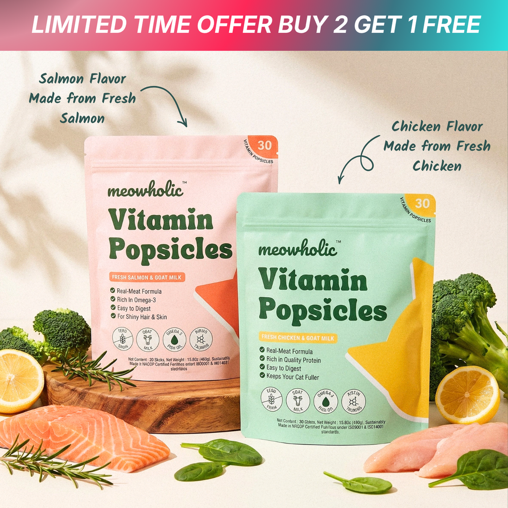Two packages of meowholic Vitamin Popsicles, one salmon flavor and one chicken flavor, with ingredients displayed.
