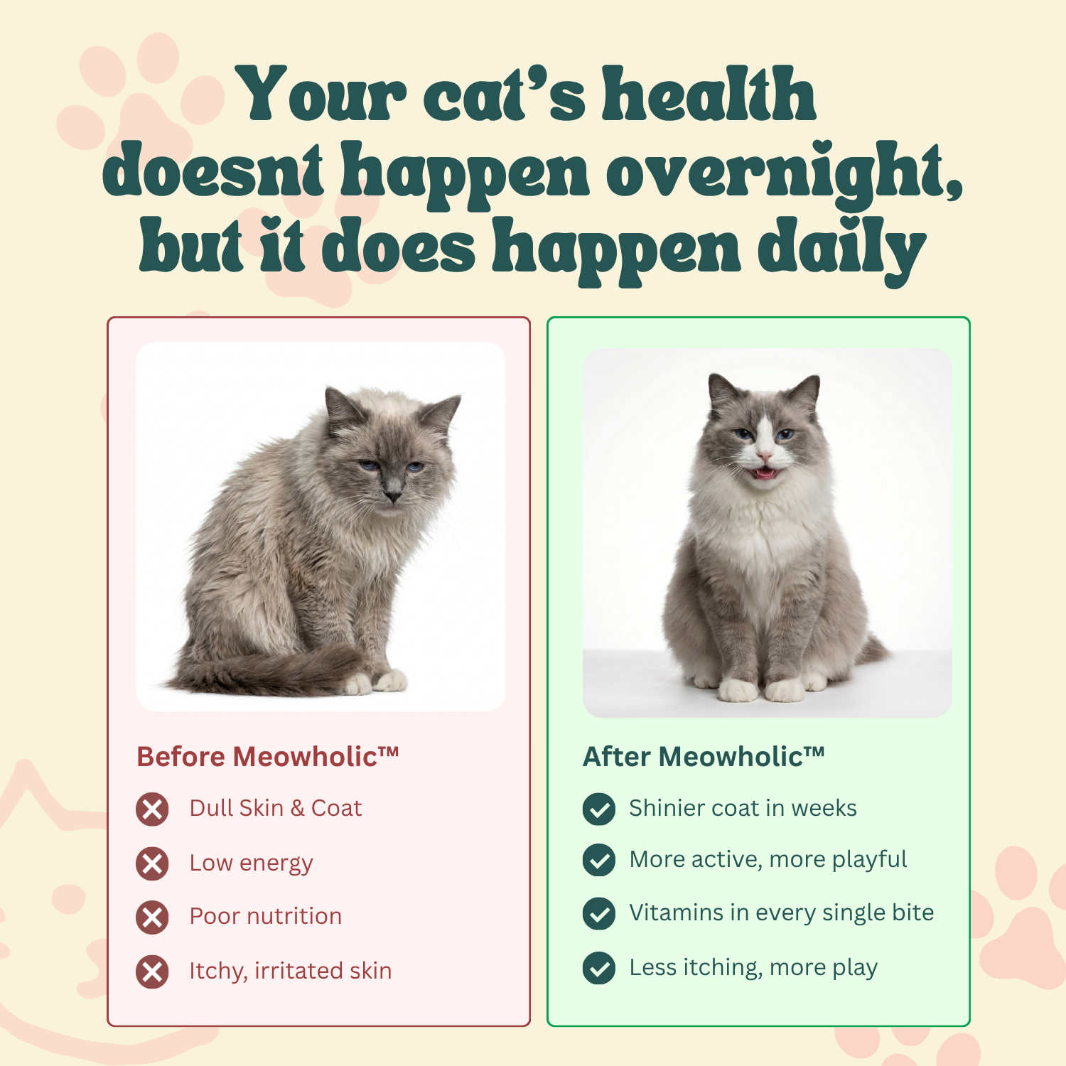 Comparison of a cat before and after using Meowholic, with text about daily health impact.