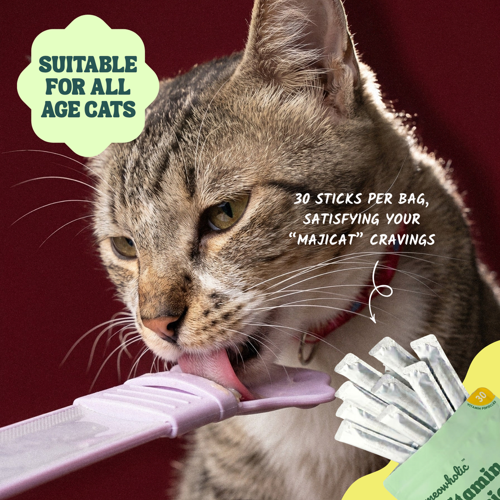 Cat interacting with a product labeled 'Suitable for all age cats' and '30 sticks per bag, satisfying your 'Majicat' cravings'.